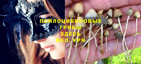 кокаин премиум Богородицк
