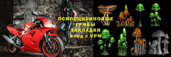 ECSTASY Бронницы