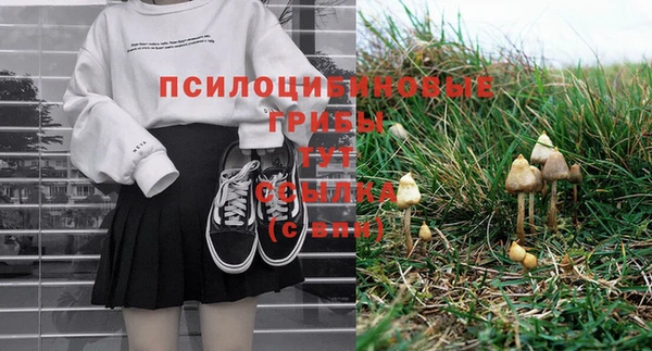 ECSTASY Бронницы