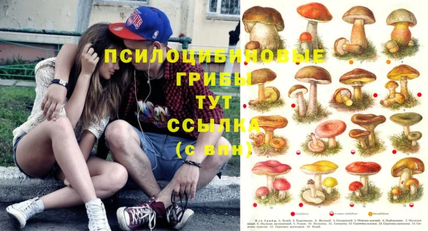 мяу мяу мука Богданович