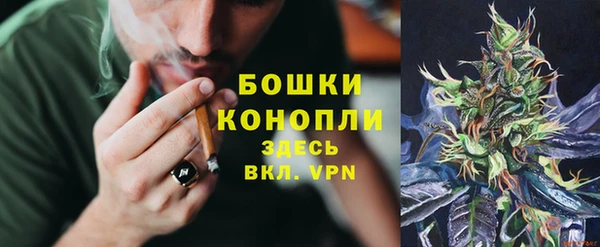 мяу мяу мука Богданович