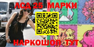 индика Бийск