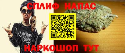 индика Бийск