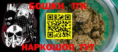 индика Бийск