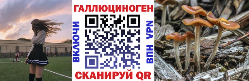 Псилоцибиновые грибы мухоморы  хочу наркоту  Горячий Ключ 