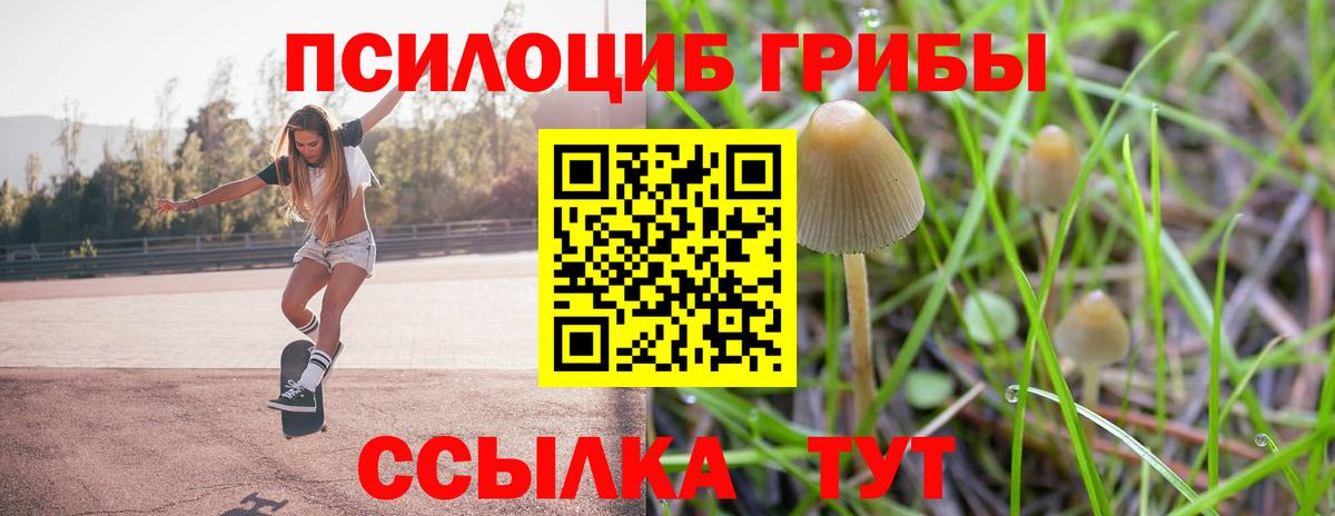 Псилоцибиновые грибы Psilocybine cubensis Горячий Ключ