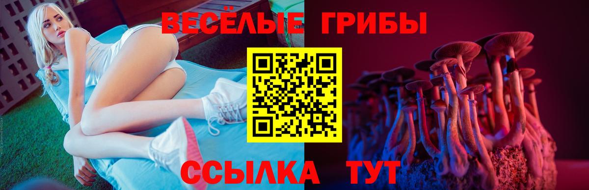 Псилоцибиновые грибы прущие грибы  Вход с VPN  Горячий Ключ  Галлюциногенные грибы Magic Shrooms 