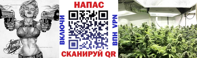 Бошки Шишки MAZAR  Горячий Ключ 